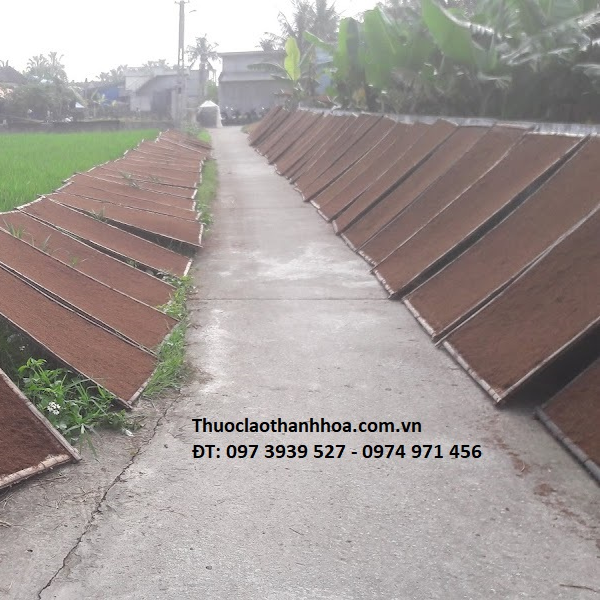 Thuốc lào Thanh Hóa Loại Ngon